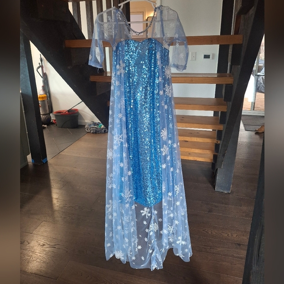 Elsa costume 2T-3T - Picture 4 of 5